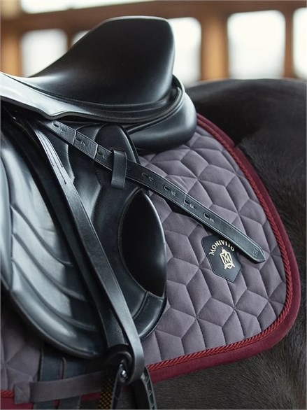 {{photo.Alt || photo.Description || 'Вальтрап для лошадей и пони, серый с бордовой каймой'}}